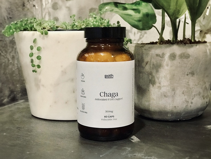 chaga mushroom capsules